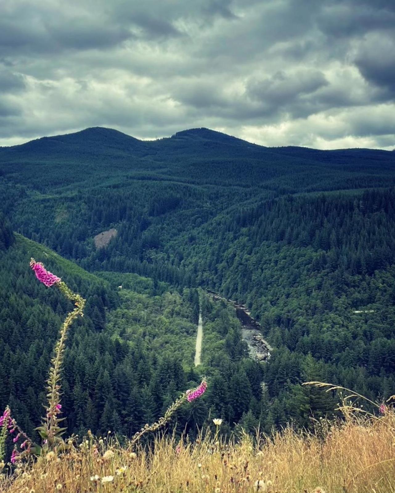 Washougal Gorgeous Gateway To The Columbia River Gorge מראה חיצוני תמונה